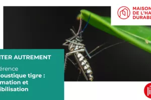 Le moustique tigre : information et sensibilisation