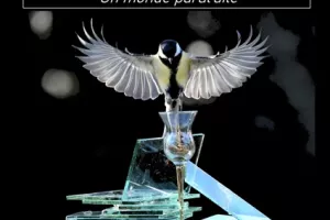 Exposition de photographies