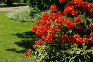 Chasse aux points de vue