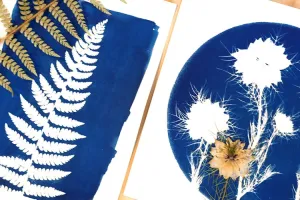 Les mardis de l'été « Atelier cyanotype »