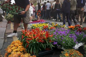 Marché de Printemps