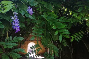 Visite guidée de Felletin - Fellet'insolite et autres secrets