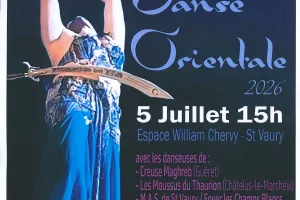 Gala danse orientale