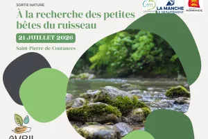 A la recherche des petites bêtes du ruisseau