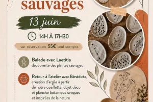 Argile et plantes sauvages