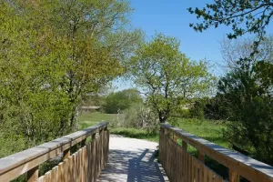 Sortie participative - le papillon de nuit