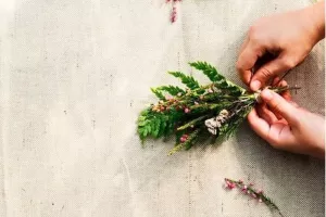 Atelier jardinage : Herbier - Récolter des plantes et les préparer au séchage