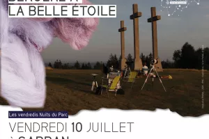 Bergère à la belle étoile : observation du ciel étoilé