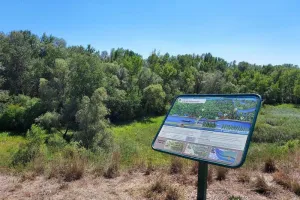 Visite guidée la biodiversité de la Réserve naturelle nationale de l’île de Rhinau