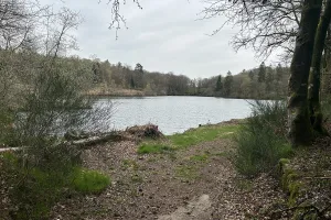 Fête de la nature : « Trop Sauvages »