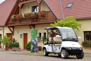 Promenade dans les vignes en véhicule électrique