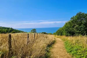 Sur les hauteurs des falaises des vaches noires