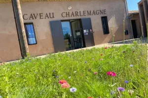 BALADES VIGNERONNES EN GRAND CARCASSONNE - DOMAINE DU LYCÉE CHARLEMAGNE