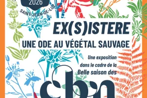 Exposition Ex(s)istere, une ode au végétal sauvage