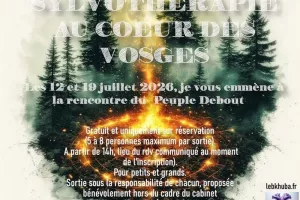 Sortie sylvothérapie au cœur des Vosges