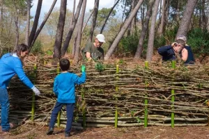 Chantier participatif au Thil : création d’une haie sèche