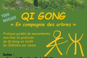 Qi Gong en compagnie des arbres