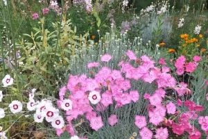 Les Rendez-vous aux Jardins: le jardin des Folioles à Prayssac