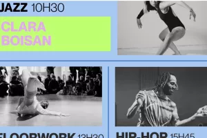 Stages de danse
