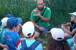 Atelier des Tourbières "Les petites bêtes"