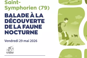 Balade à la découverte de la faune nocturne à Saint-Symphorien