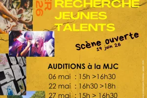Auditions Festy Summer