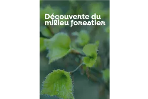 Découverte du milieu forestier