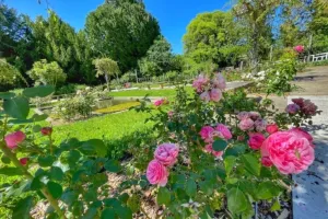 Fête des plantes et du jardin de la rose