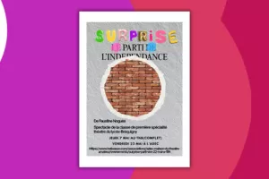 Surprise parti