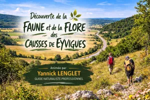 Découverte de la faune et de la flore des causses de Eyvigues