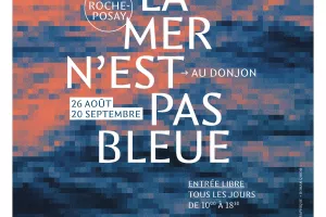 Exposition vidéo – La mer n’est pas bleue