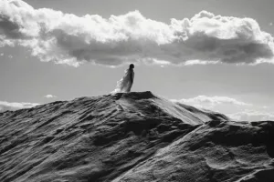 LUMA Arles / In Search of… Incredible