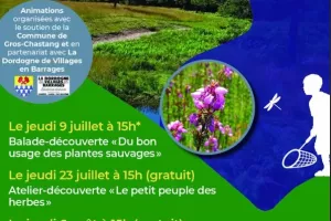 Atelier découverte "Le p'tit peuple des herbes"
