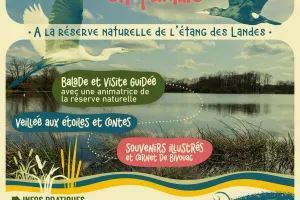 Bivouac en famille à l'étang des landes