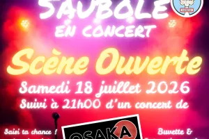 Concert