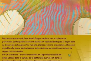 PROJECTION DISCUSSION - Multimonde agraire