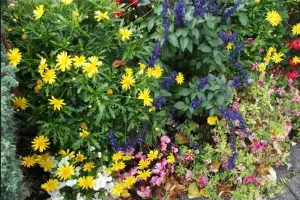 Marchés du printemps et vide-greniers