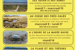 La plage et ses trésors