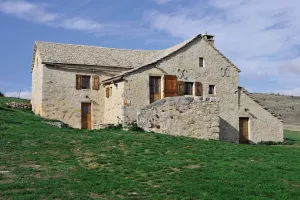 UN ÉTÉ AVEC LE PARC : AU CŒUR D’UN CHANTIER DE PIERRE SÈCHE SUR LE CAUSSE MÉJEAN