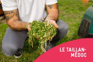 Jardiner au naturel - Tailles et tontes