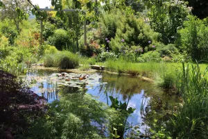 Un jardin à Mauchamp