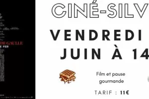 La Bataille de Gaulle : L'Âge de Fer