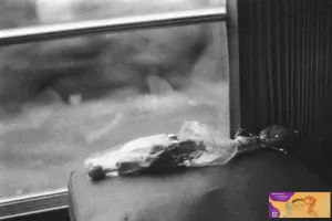 Exposition « Paris-Londres-Paris », Bernard Plossu, Michel Butor