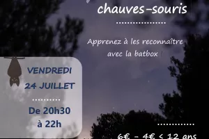 Soirée Chauves-souris