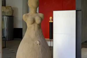 Vénus métamorphosée