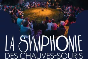 Spectacle en plein air : La symphonie des chauves-souris