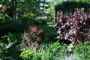 Visite du jardin Farandole pour un Curieux