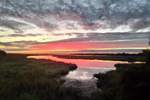 Domaine de Certes et Graveyron : Un soir sur les domaines