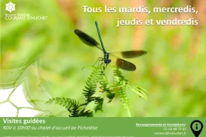 Partez à la découverte de la Réserve Naturelle du Courant d'Huchet