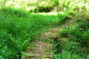 Balade au Lavoir de Brézenty